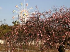 �I�������������^���߂̎ʐ^1