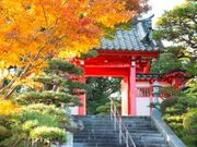 �̖����̎ʐ^1