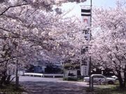 �t���_�Ё^������̎ʐ^1