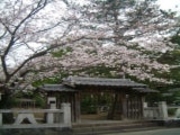 �t���_�Ё^������̎ʐ^2