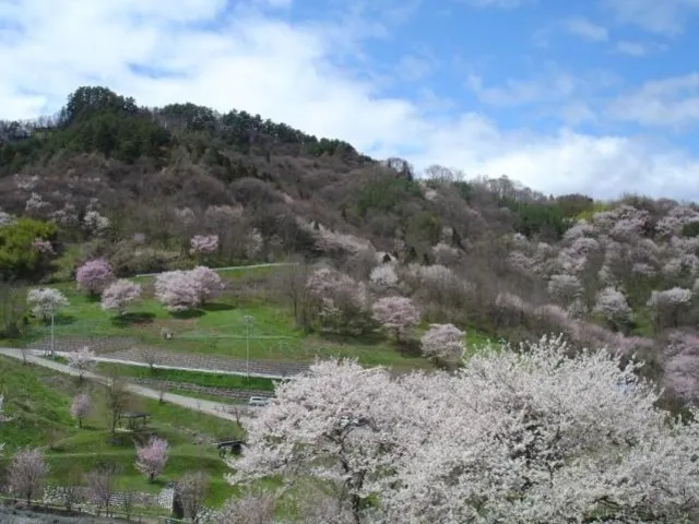 夢農場