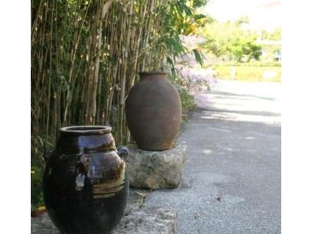 EŶӂ邳Ƃ݂̂i{̕Ȃ݂TOOIj̎ʐ^1