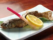 ���Ώ��@��x���̎ʐ^3