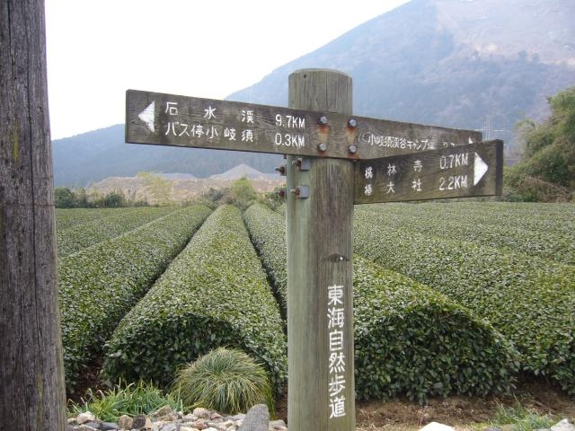 ���W_���C���R����