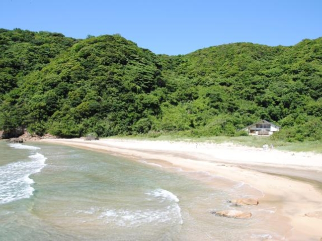 �H�������R�����̎ʐ^1