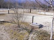 �t�����h�p�[�N�ނ���E�I�[�g�L�����v��E�o�[�x�L���[��̎ʐ^2