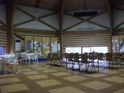 ��������𗬊ق̎ʐ^3