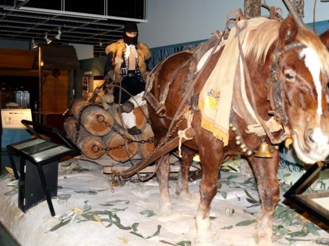 ���ڕʒ����y�����ق̎ʐ^1