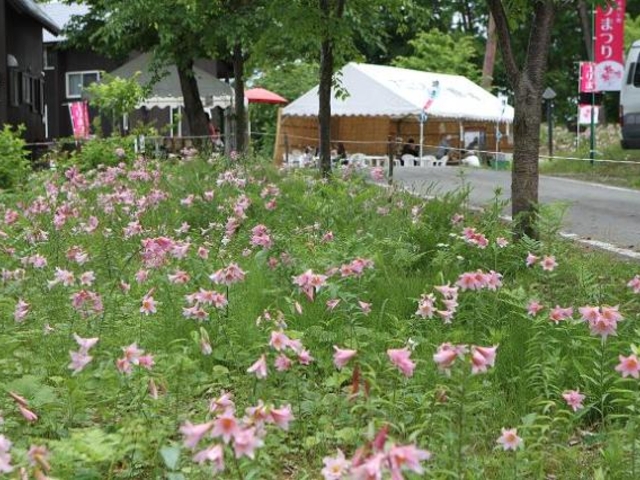 ��R���R�����q���T�����̎ʐ^1