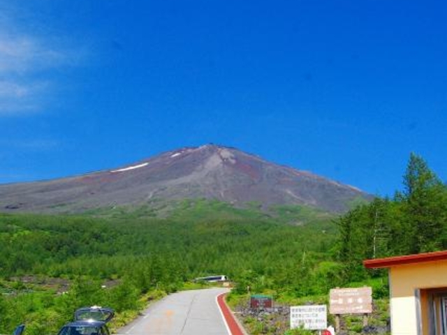 �x�m�R�{�����܍���