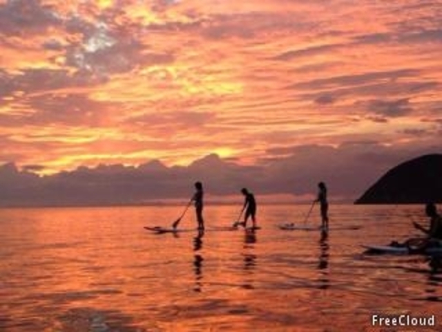 �t���[�N���E�h�i�V�[�J���b�N�ASUP���j�̎ʐ^1