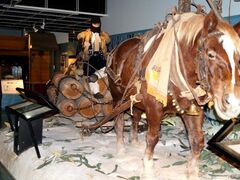 ���ڕʒ����y�����ق̎ʐ^1