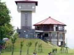 ��R���R�����̎ʐ^1