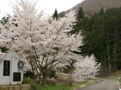 七ツ森林道の写真1