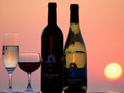 ���K���C�i���[�H�ꌩ�w�E�̌��̎ʐ^1