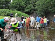 �y�[�`�����썻���@�̌���̎ʐ^2