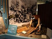 ���ڕʒ����y�����ق̎ʐ^2