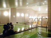 �����������ނ�̋� �����̓��̎ʐ^2