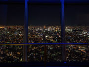 �����X�J�C�c���[�̎ʐ^4