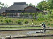 �k��ӂ邳�Ɣ_�Ƒ̌��ق̎ʐ^1