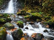 �����̑�̎ʐ^1