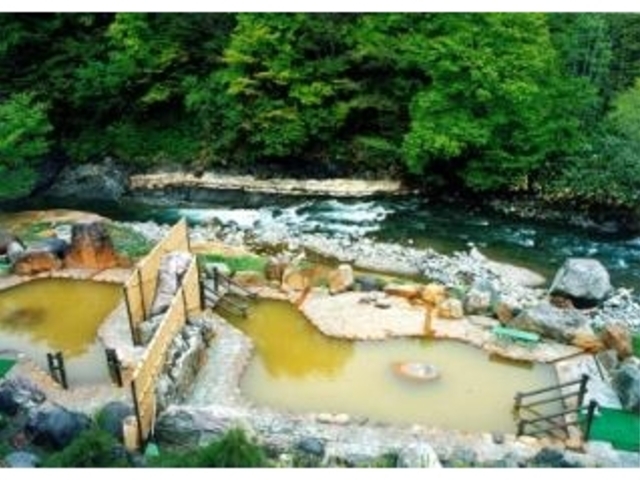 ���_���򂨂ڂ����̎ʐ^1