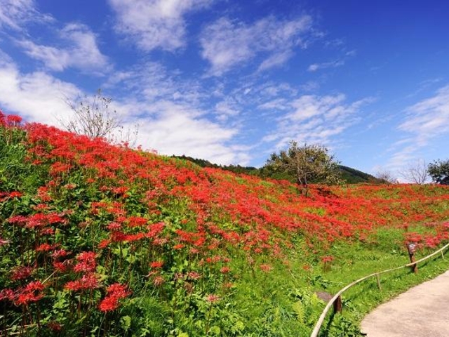 ފ݉Ԍiފ݉ԌQnj̎ʐ^1