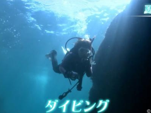 �_�C�r���O�̎ʐ^1