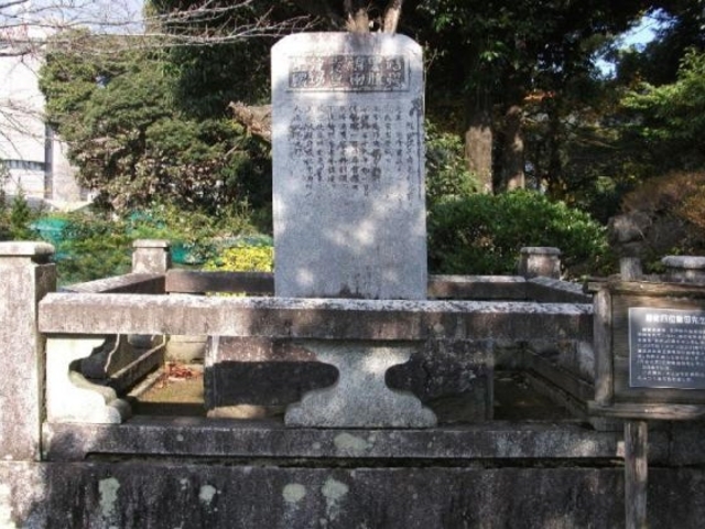 �ѓc���F�̔�i�����w�ҁj�̎ʐ^1