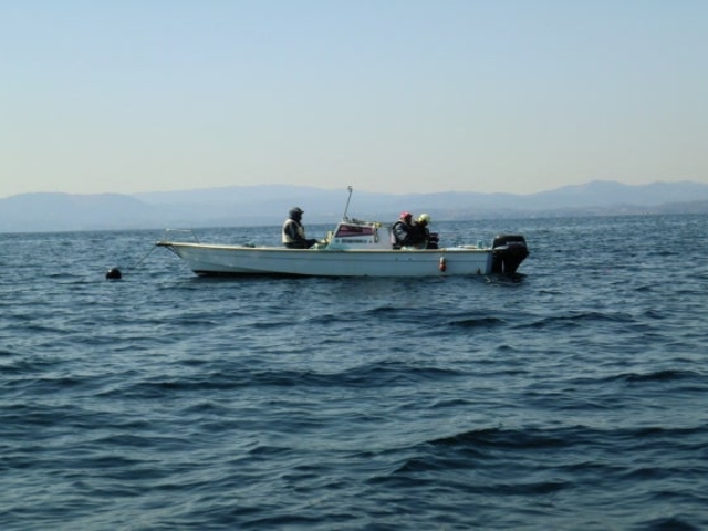 ��������ނ�i�務�`�E�ɓc���`�j�̎ʐ^1