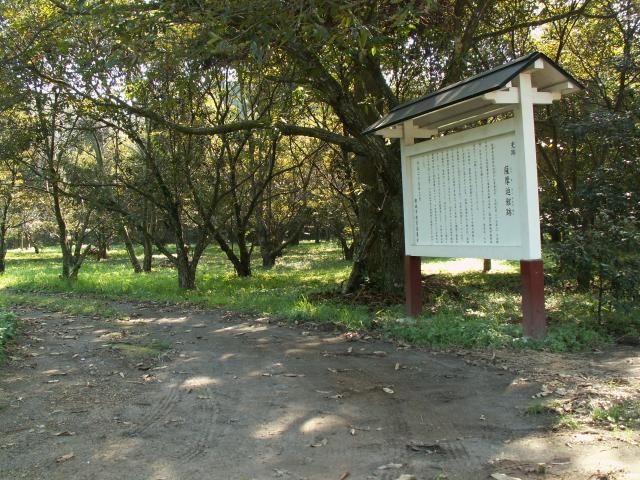 �F�����ِՂ̎ʐ^1