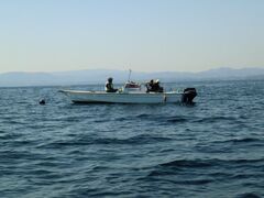 ��������ނ�i�務�`�E�ɓc���`�j�̎ʐ^