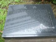 ����j�Ք�̎ʐ^1