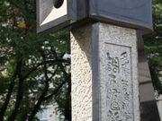 foD̔ƒzEf攭˂̔̎ʐ^2