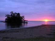 ���H�C������̎ʐ^1