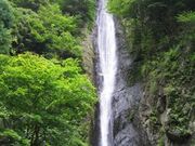 ���_�̑�̎ʐ^1