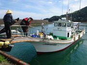 񒩓ہinDADނj̎ʐ^3