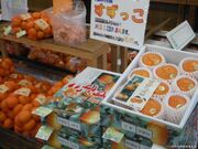 JA����Y�����������̎ʐ^4