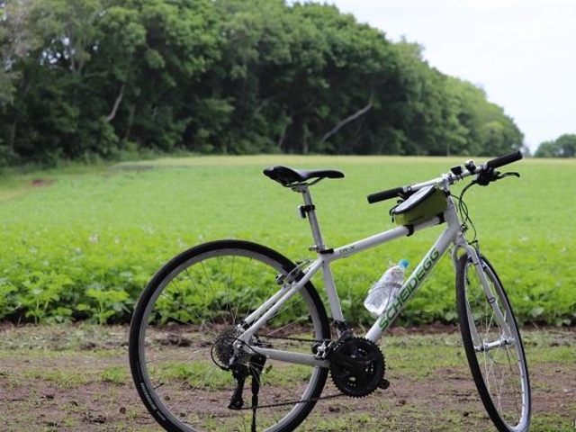 �������c�[���X�g�Z���^�[�@�����^�T�C�N��