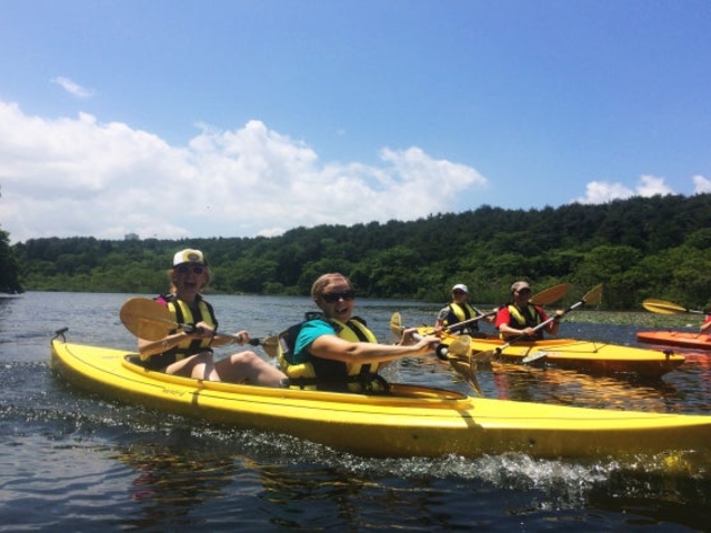 �J���b�N�̌��̎ʐ^1