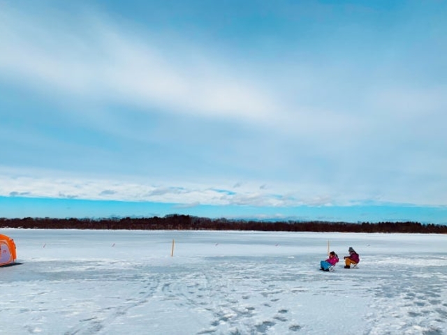 �킩�����ނ�̎ʐ^1