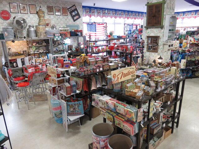 �r�����o���������l�h�r�`�v�`�̎ʐ^1