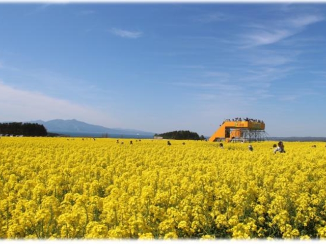 �؂̉ԑ���H�̎ʐ^1