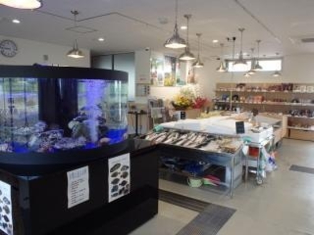 �͂����݃n�}�̉w����ł�?��