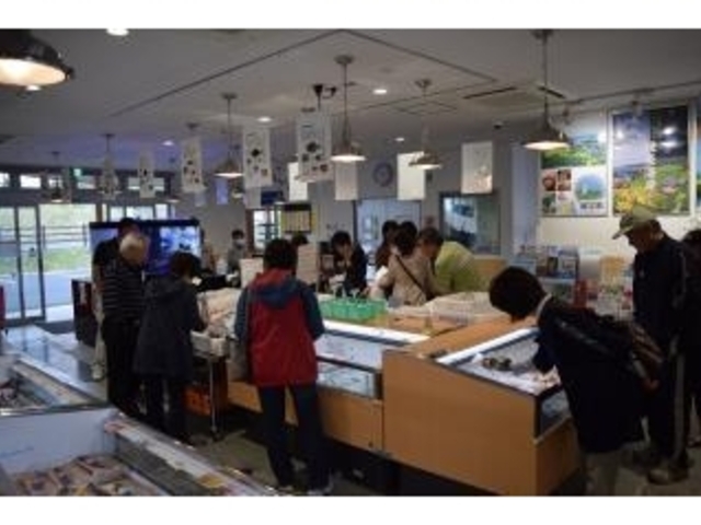 �͂����݃n�}�̉w����ł�?��