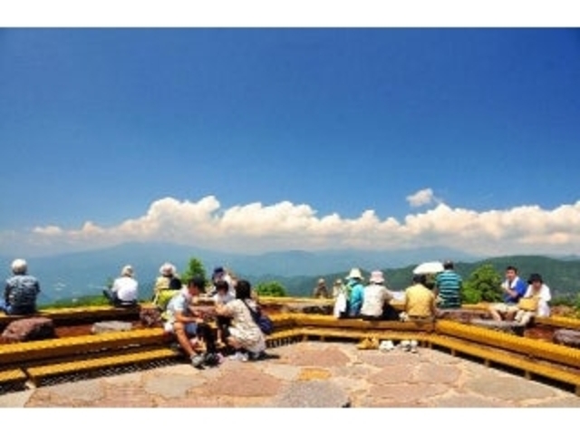 �V��̑����̎ʐ^1