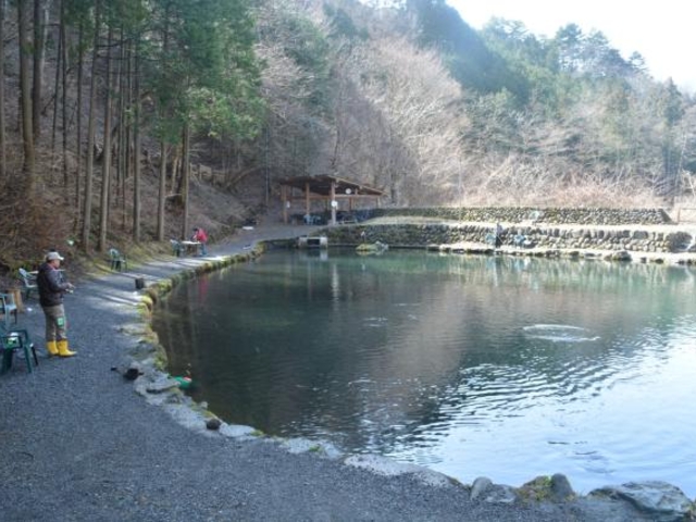 �����g���E�g�K�[�f���̎ʐ^1