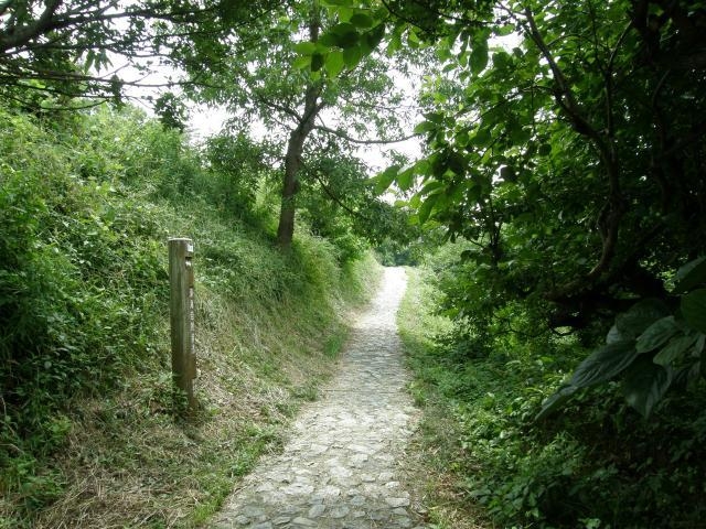 東海自然歩道（山の辺の道）】アクセス・営業時間・料金情報