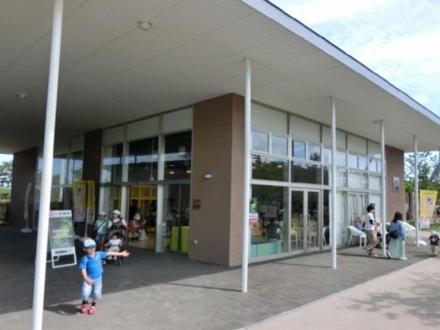 �Ƃ��퓮�����@�̌��w�K�ك����X�^�̎ʐ^1