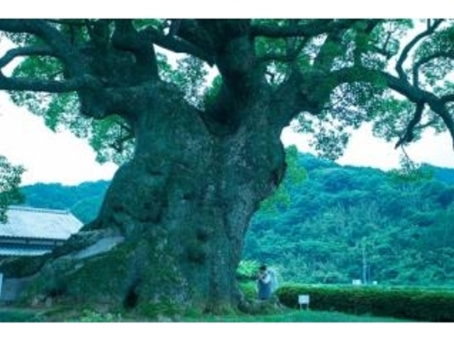 ��Â̑������@�ג���